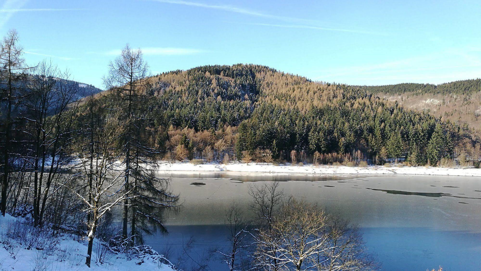 Hotel Berghof Am See Lautenthal Kültér fotó